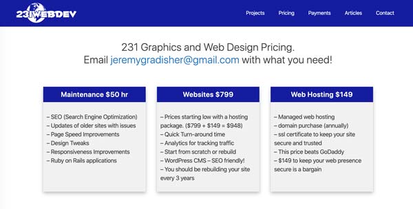 231 web design pricing